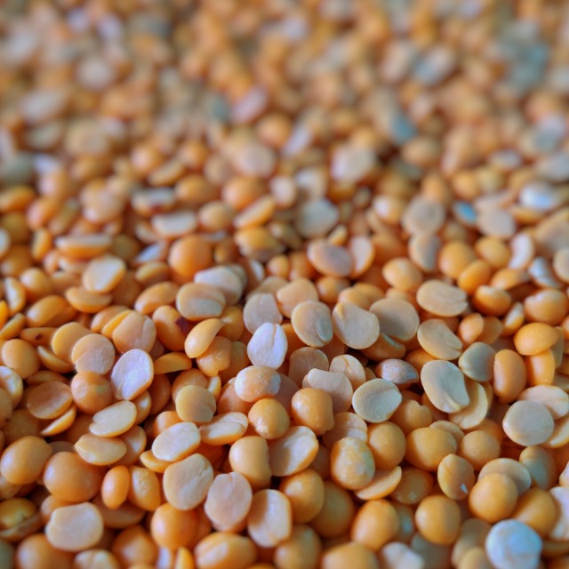 Pulses