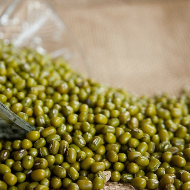 Pulses